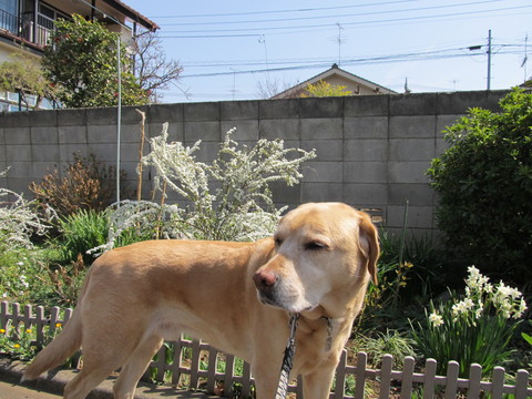 e0046305_15425850.jpg