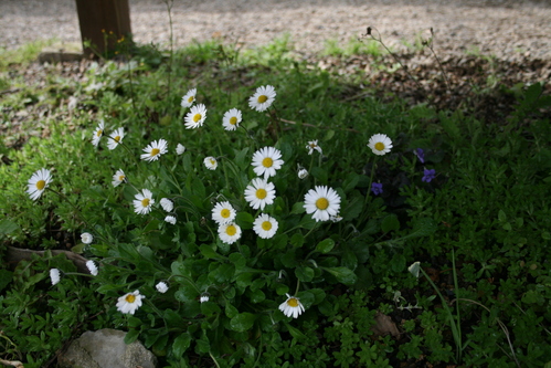 a0139007_1437818.jpg