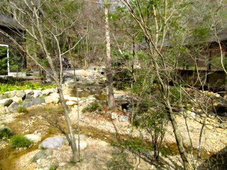 b0051109_1018416.jpg
