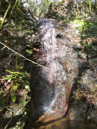 b0051109_10193711.jpg