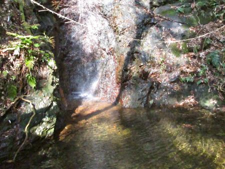 b0051109_10195047.jpg