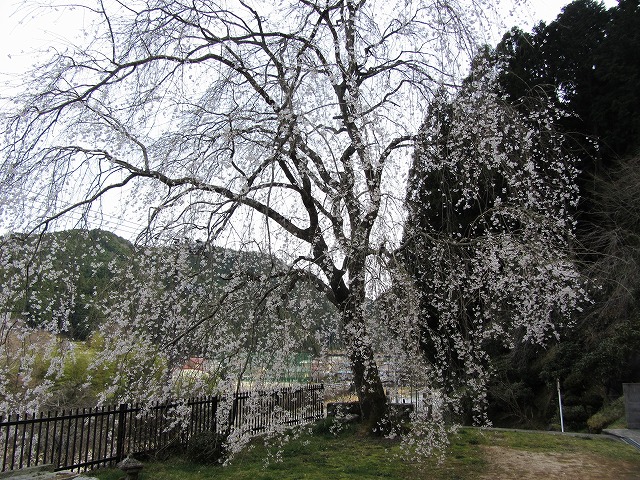 d0154609_18492270.jpg