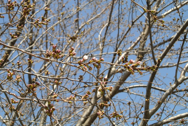 f0179209_1223454.jpg