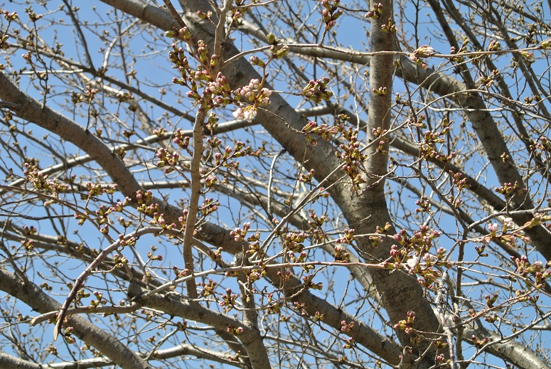 f0179209_12254744.jpg