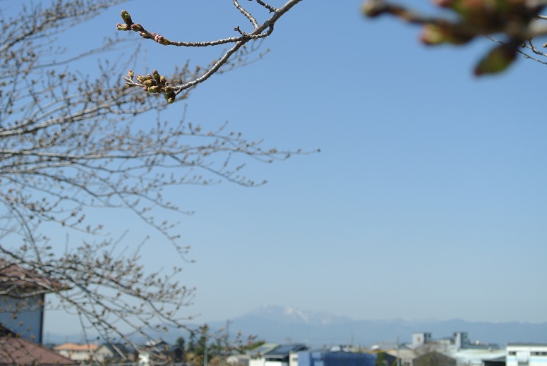 f0179209_1235826.jpg