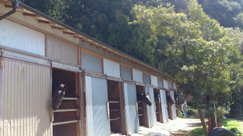 b0187620_20302658.jpg