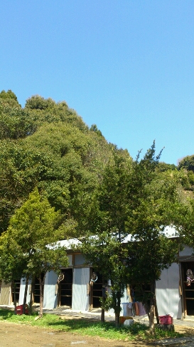 b0187620_20322858.jpg