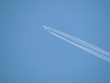 f0150620_164979.jpg