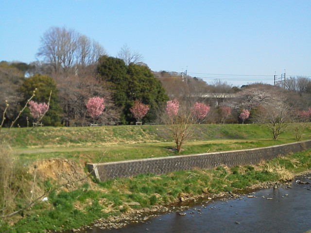 a0268821_18195664.jpg
