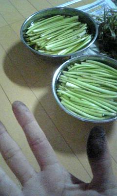 c0117621_155596.jpg