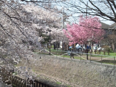 f0106823_1723064.jpg