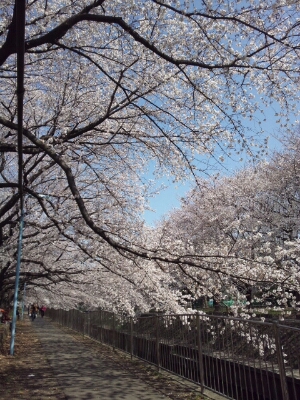 f0106823_172581.jpg