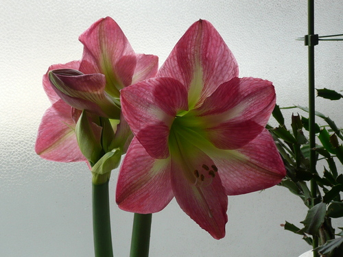 c0009528_22462573.jpg