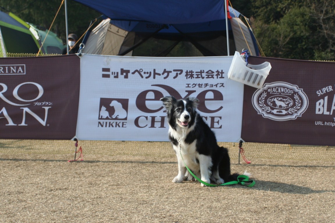 b0085331_21114671.jpg