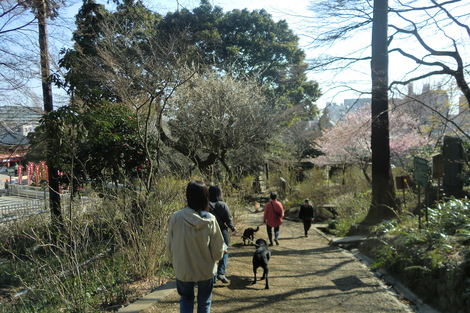 c0236632_0141911.jpg