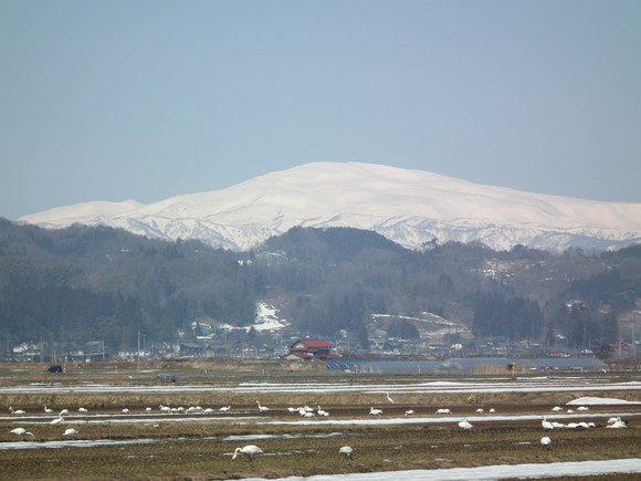 f0118332_21303262.jpg