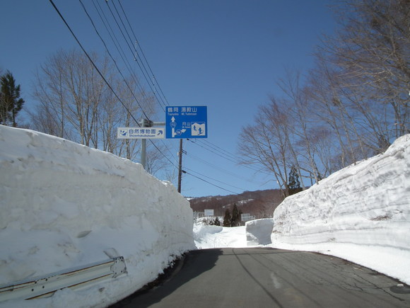 f0118332_21322754.jpg
