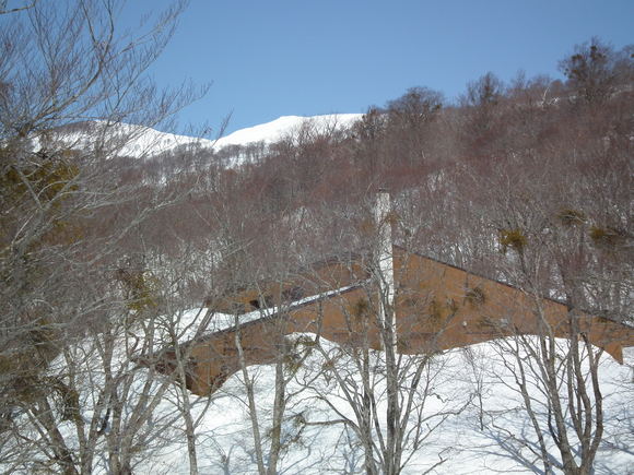 f0118332_21384122.jpg