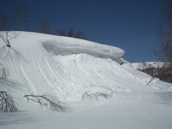 f0118332_21395584.jpg