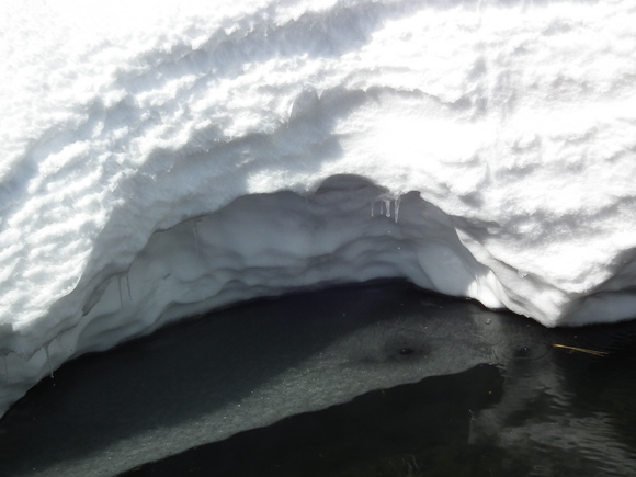 f0118332_2142184.jpg