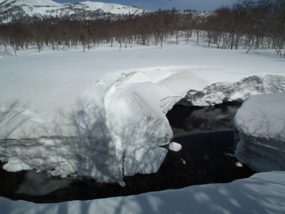 f0118332_21425629.jpg