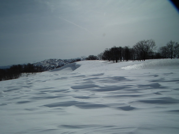 f0118332_21482843.jpg
