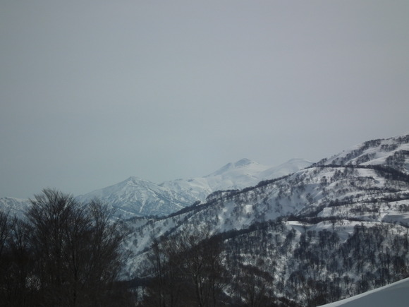 f0118332_2149720.jpg
