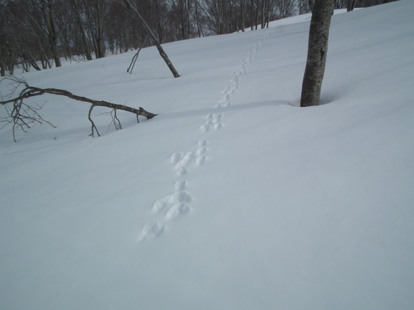 f0118332_21542493.jpg