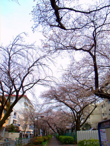 c0133533_1105644.jpg