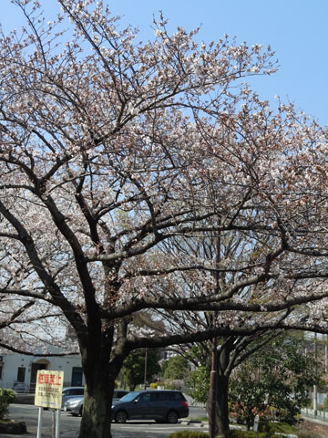 c0039736_15494976.jpg