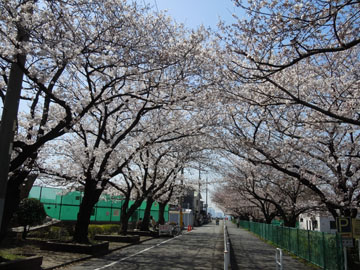 c0039736_15501262.jpg