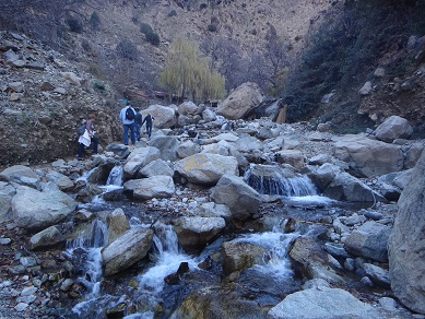 e0238838_0503919.jpg