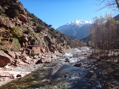 e0238838_1165891.jpg