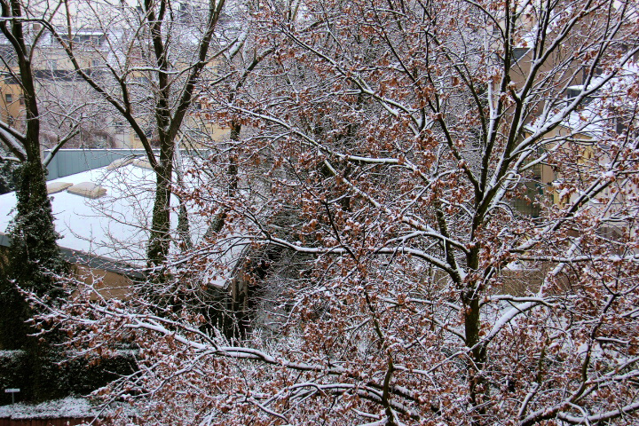 c0153740_0281051.jpg