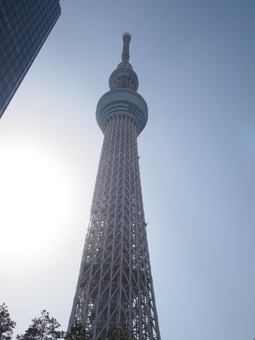 d0267341_179125.jpg