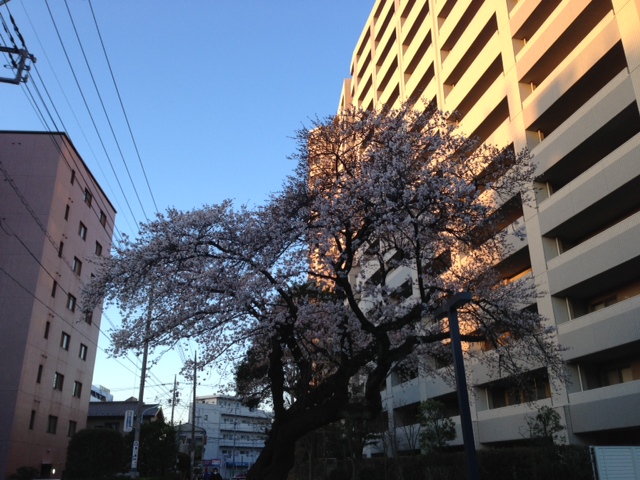 e0206242_13593863.jpg