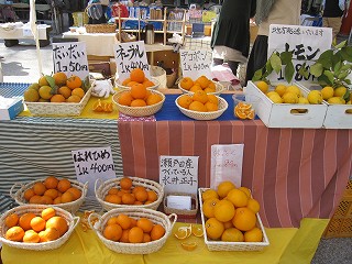 d0031853_20371634.jpg