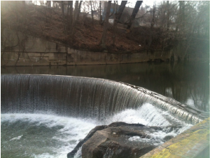 c0178169_10341036.jpg