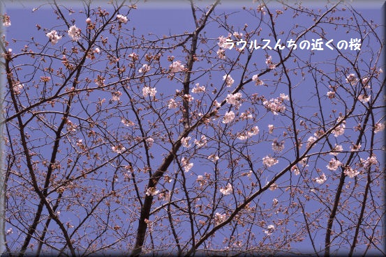e0099375_6394837.jpg