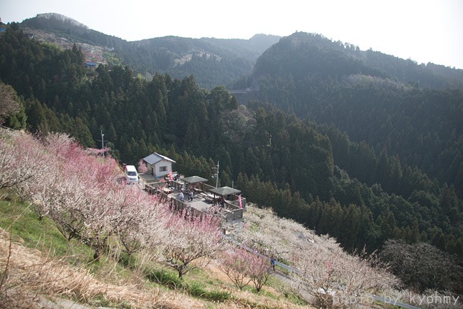 b0280176_20512392.jpg