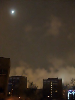 f0056476_021874.jpg