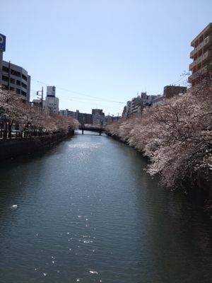 f0057478_13311988.jpg
