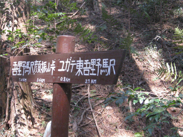 c0138182_15111854.jpg