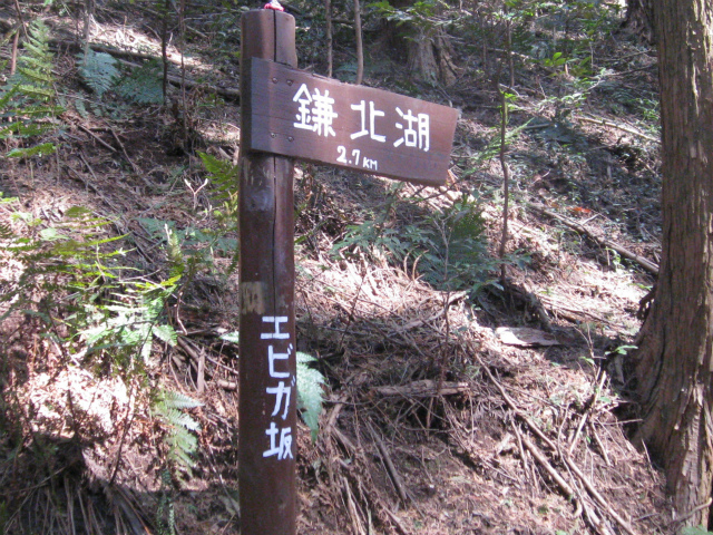 c0138182_15112929.jpg