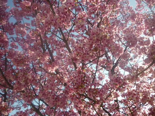 c0182782_0122481.jpg