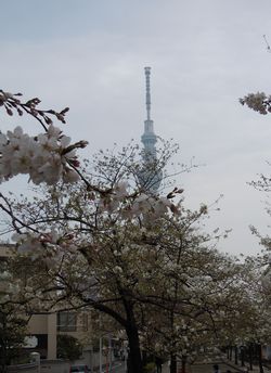 b0162790_195246.jpg