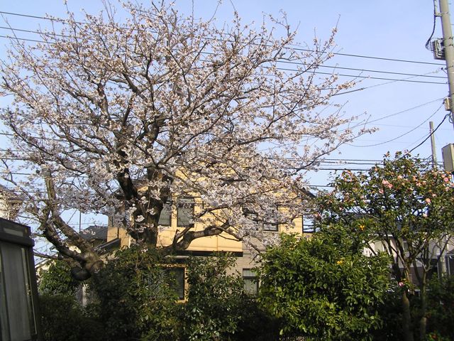 f0130894_22145827.jpg