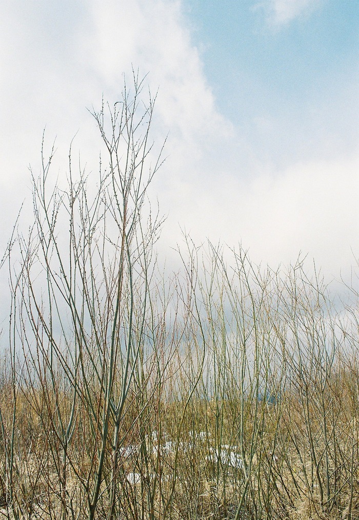 f0220698_21113252.jpg