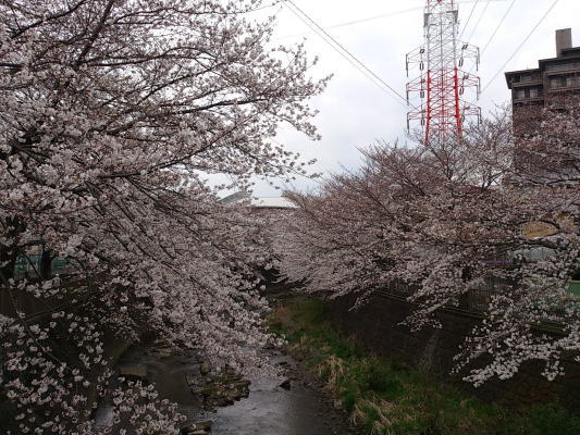 b0160300_22113214.jpg