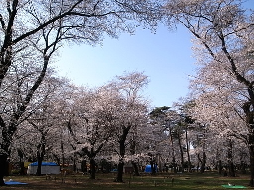 e0043700_18401094.jpg